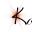 kcc-new-patient-july2025.pages.dev favicon